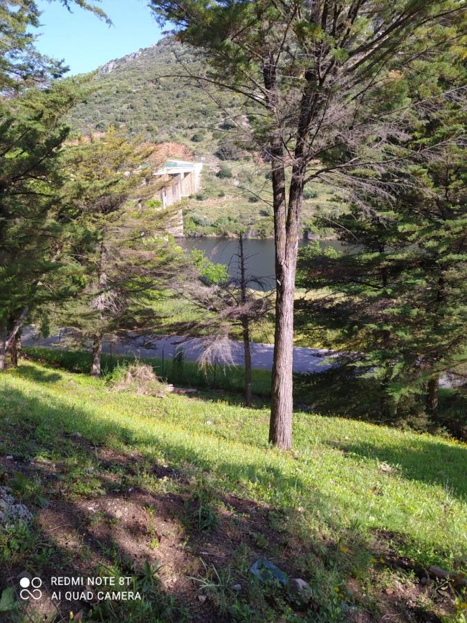 Casa En Plena Naturaleza Attcc00637 Valdecanas de Tajo المظهر الخارجي الصورة